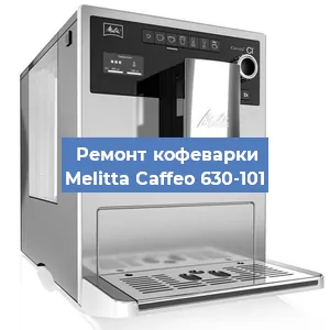 Чистка кофемашины Melitta Caffeo 630-101 от кофейных масел в Москве